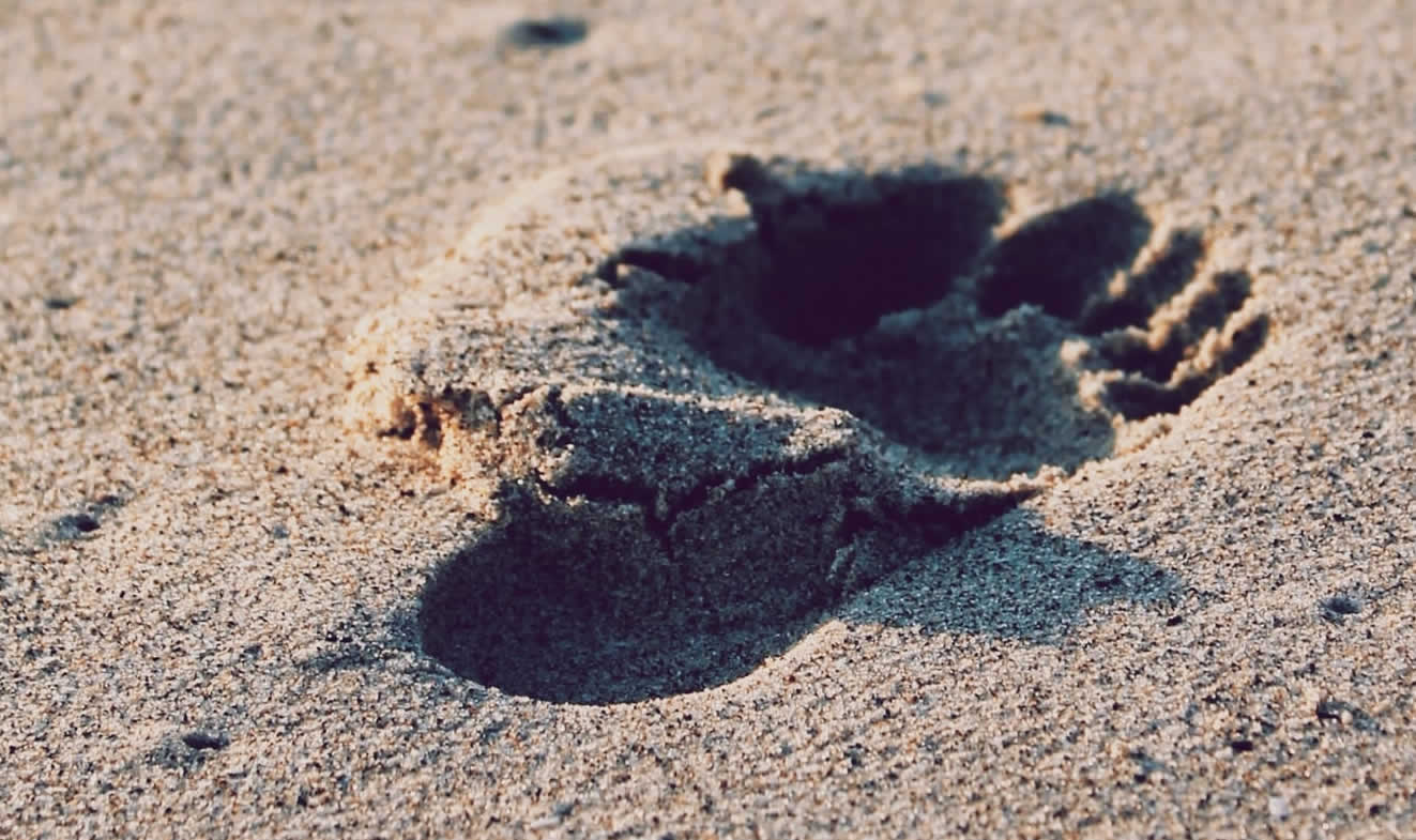 NMNの生物学での発見と、治療の可能性について