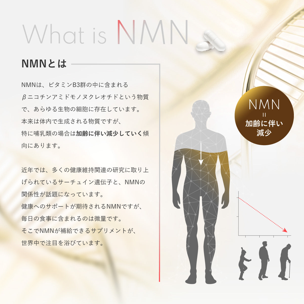 GAAH Inner Beauty NMN サプリメント