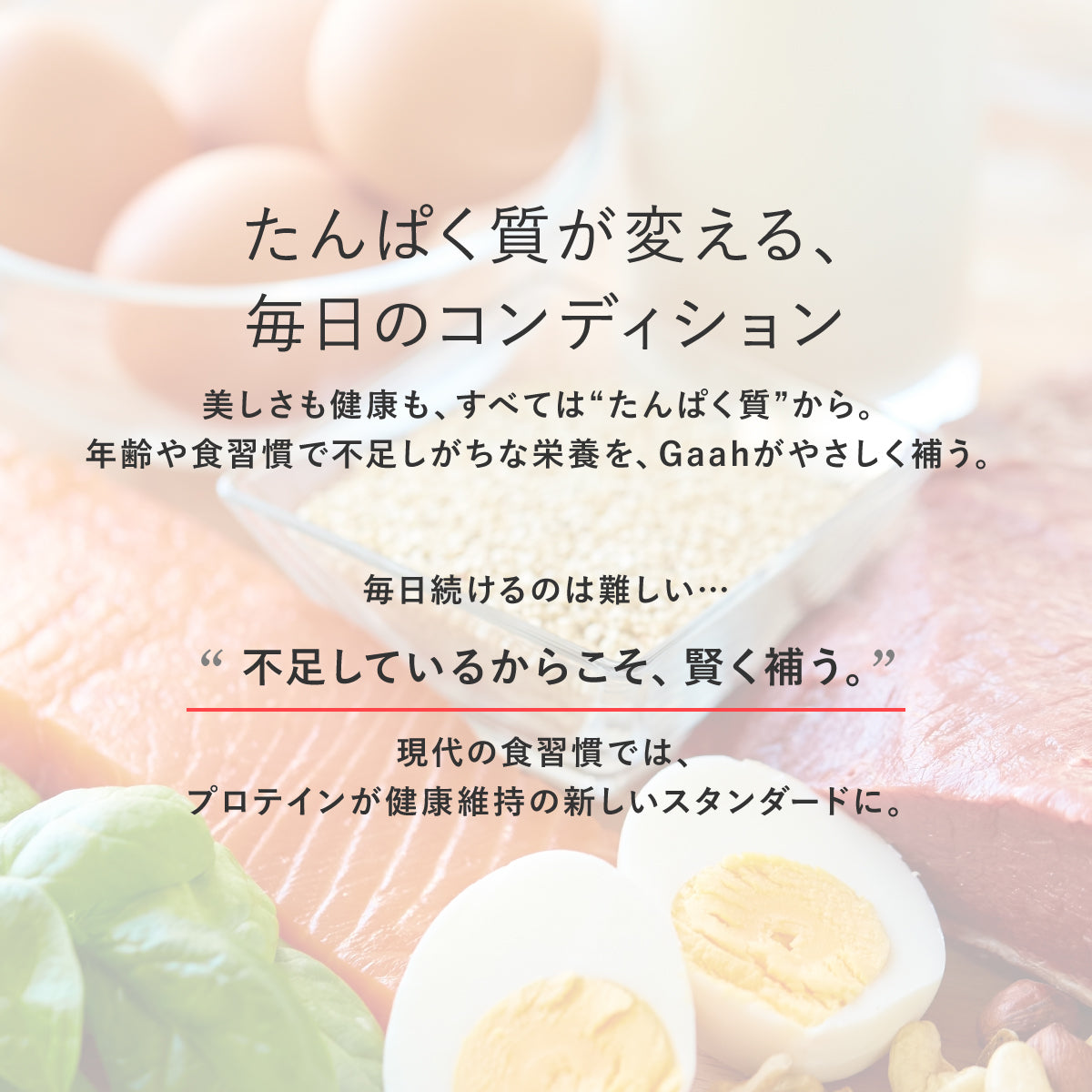 PROTEIN|Whey / Soy|Bitter Choco・Rich Matcha