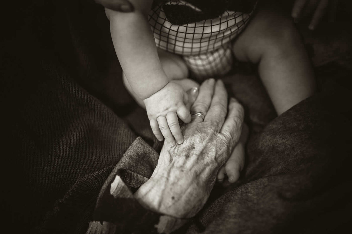 
NMN in aging research