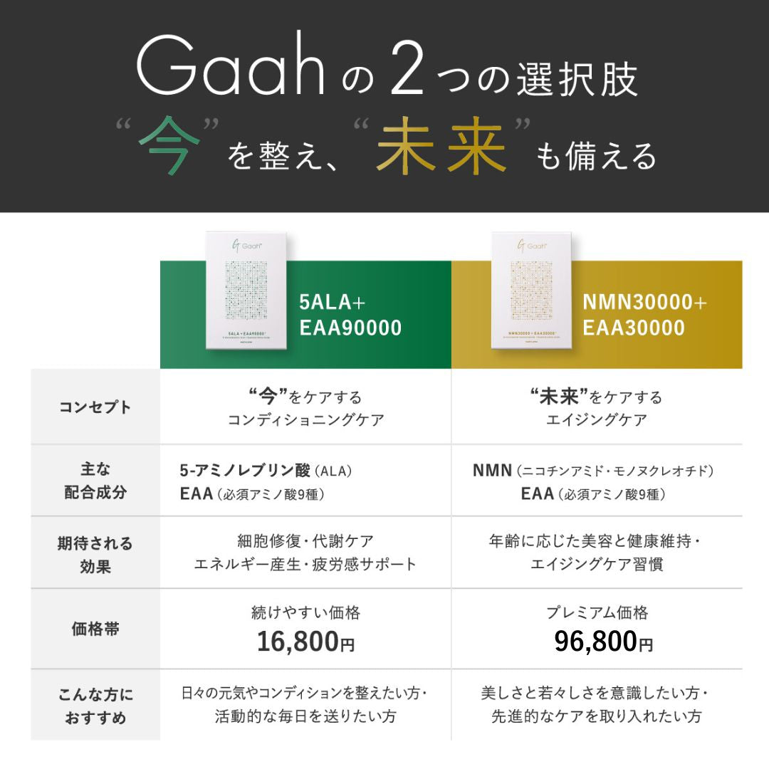 Gaah　NMN30000 + EAA30000　NMN・EAA顆粒 NMN30000 + EAA30000 NMN・EAA顆粒 β-nicotinamide mononucleotide +