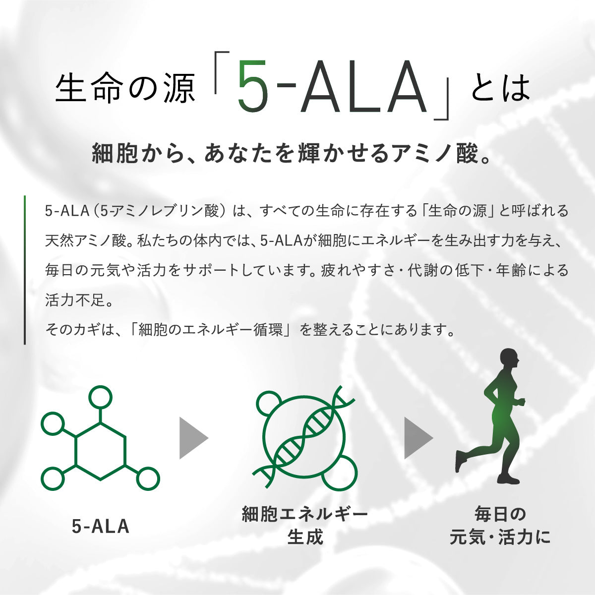 その他 5ALA Amazon | 5-ALA サプリ 5-アミノレブリン酸リン酸塩 高含有 50mg 鉄