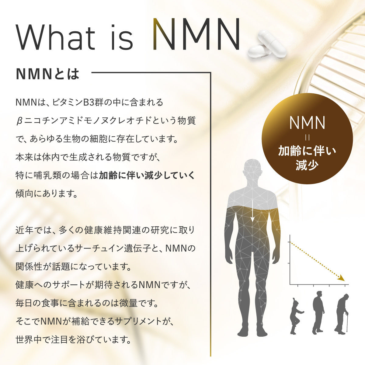 NMN30000 + EAA30000　NMN・EAA顆粒　β-nicotinamide mononucleotide + Essential Amino Acids