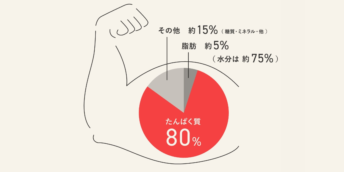 プロテインを構成するタンパク質は「美と健康」のベース